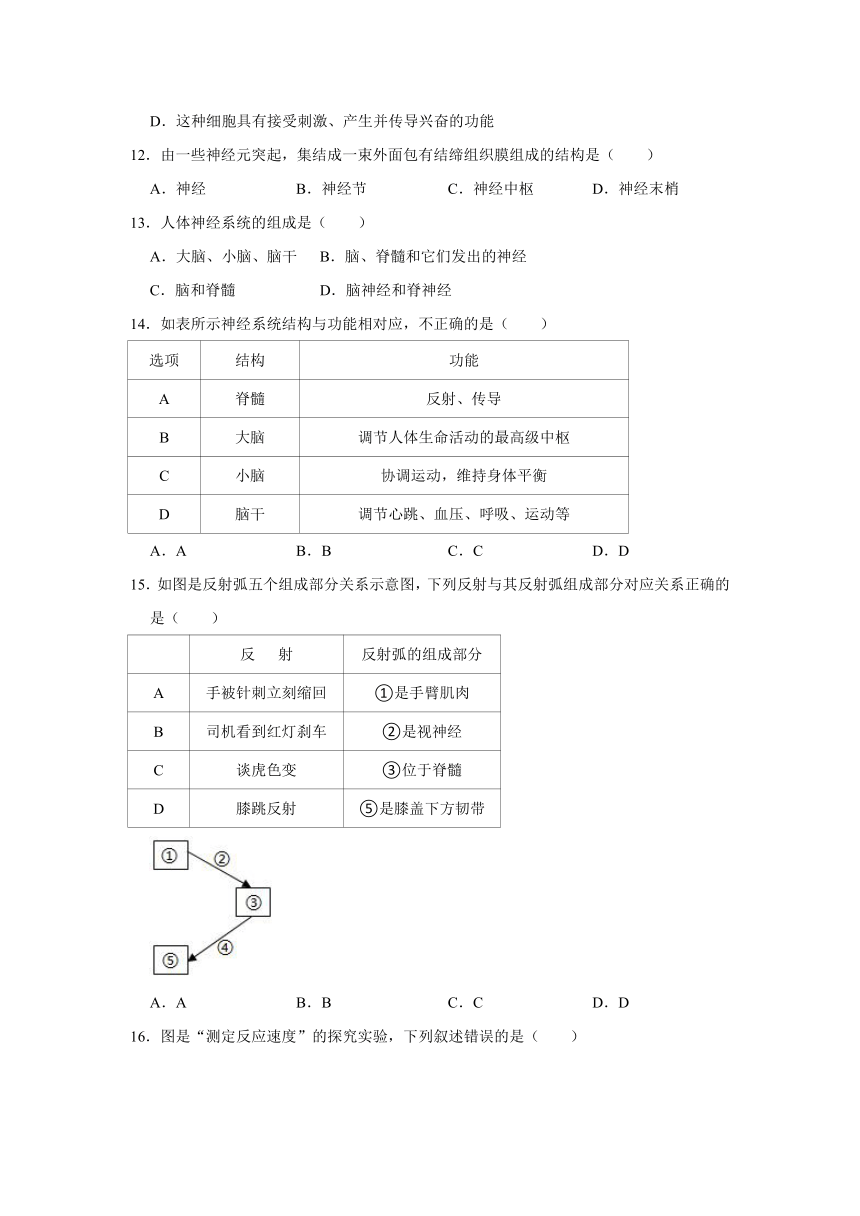 2020-2021学年人教版生物七年级下册第4单元 第6章 人体生命活动的调节  测试卷（word版含答案）