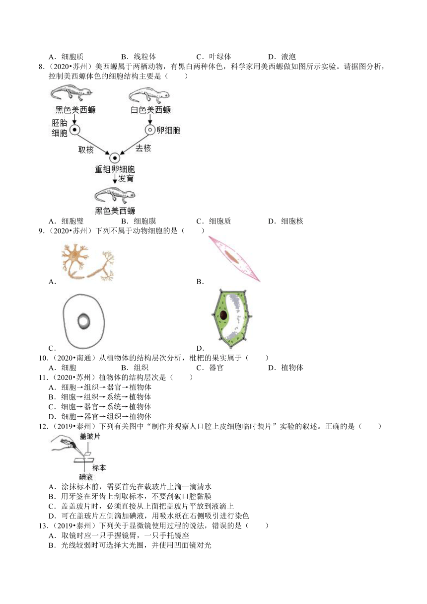 江苏省2018-2020年近两年中考生物试题分类（1）——生命的结构层次(含解析)