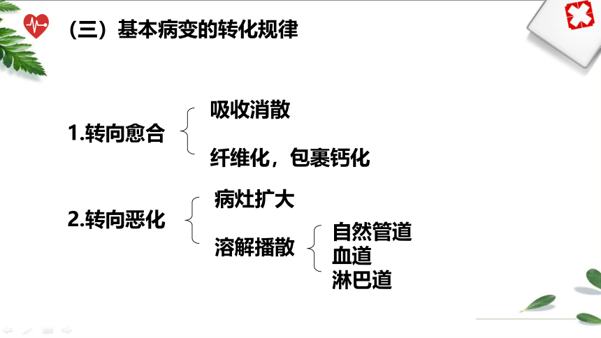 第十章常见传染病 课件(共38张PPT）《病理学》同步教学（人卫版）