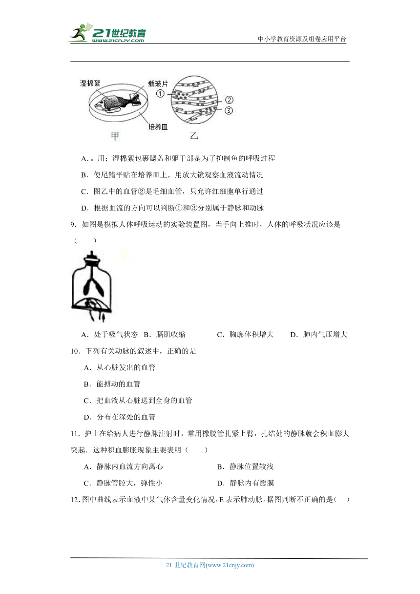 2023-2024年北师大版七年级下册生物期中综合训练（三）（含答案）