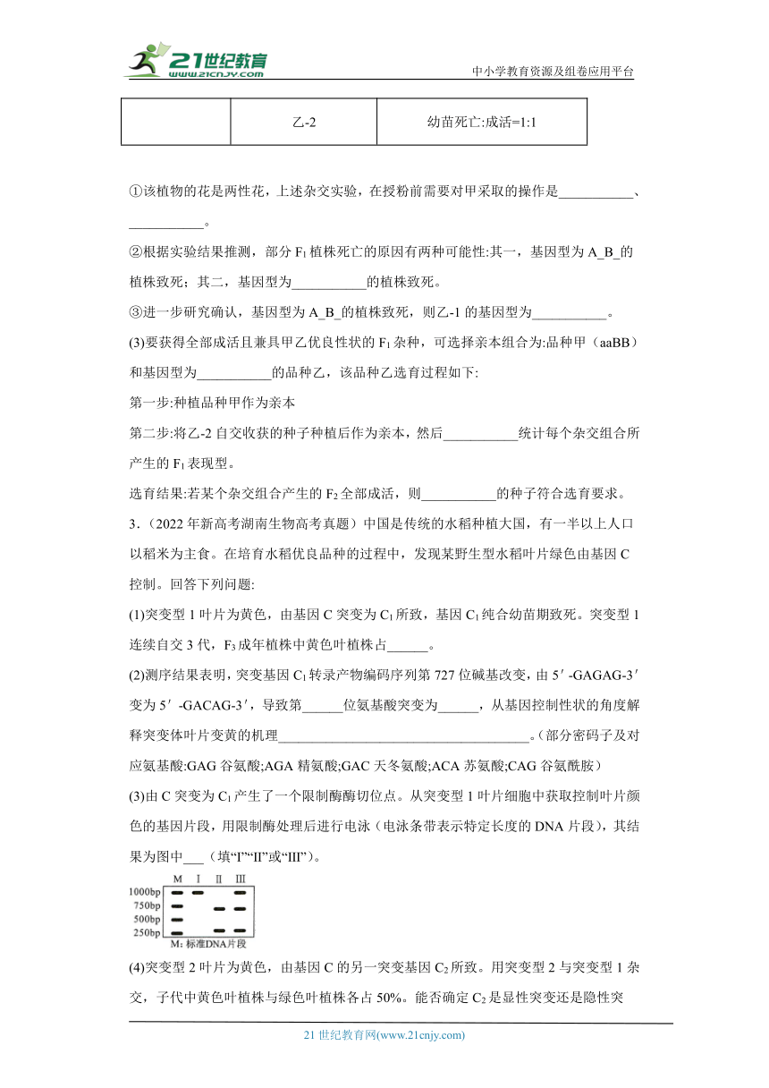 五年2018-2022高考生物真题按知识点分类汇编32-基因的分离定律-综合题、实验题（含解析）