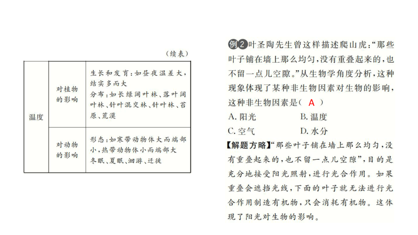 2023年中考生物复习专题★★专题二  生物与环境课件(共45张PPT)