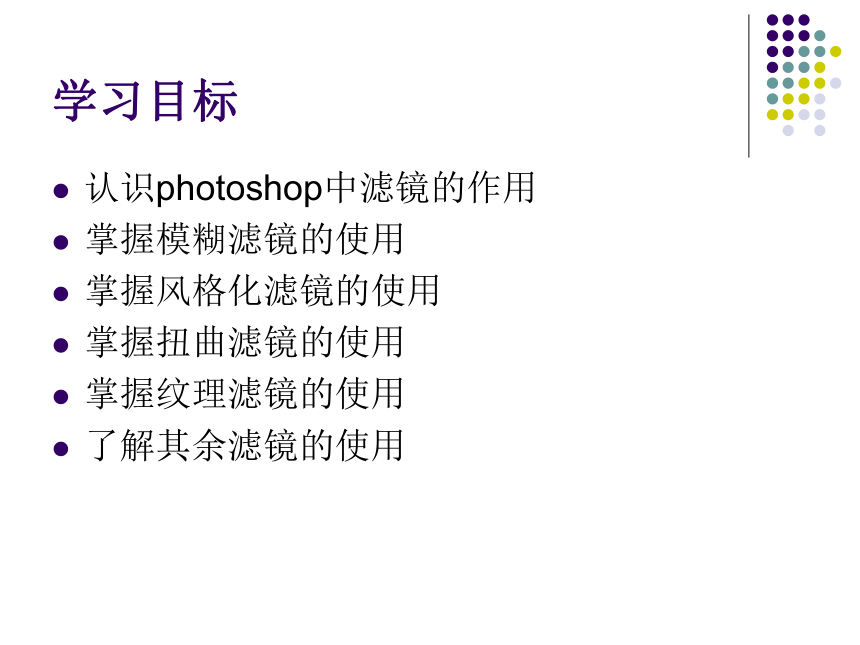 华中师大版九年级上册信息技术 2.5滤镜的使用  课件（14ppt）