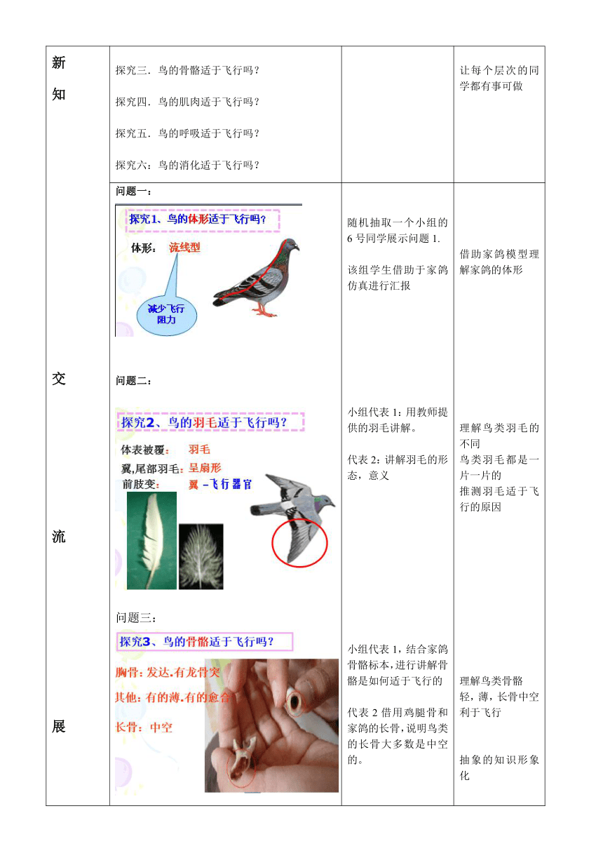 济南版七上生物 2.2.2.3鸟类 教案