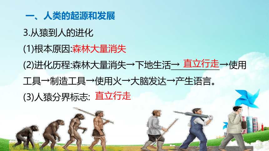 第1章 人的由来 2022-2023学年七年级生物下册单元复习课件（人教版）(共20张PPT)