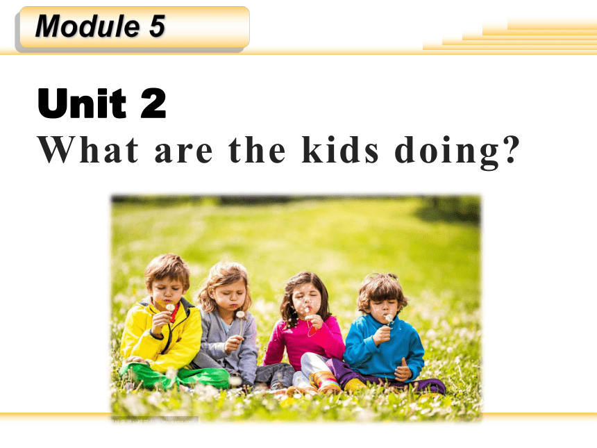 Module 5 Unit 2  What are the kids doing? 课件(共22张PPT)