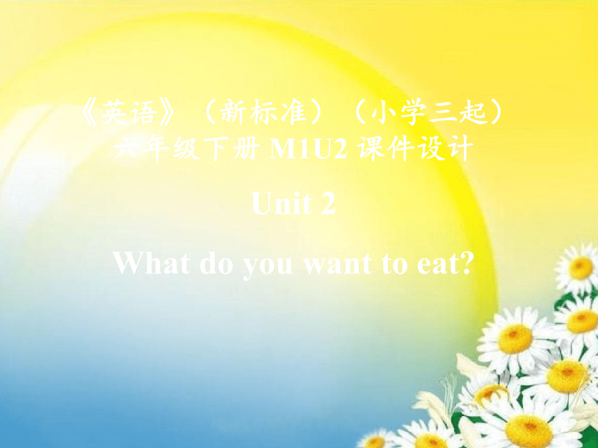 Module 1 Unit 2 What do you want to eat? 课件(共11张PPT)