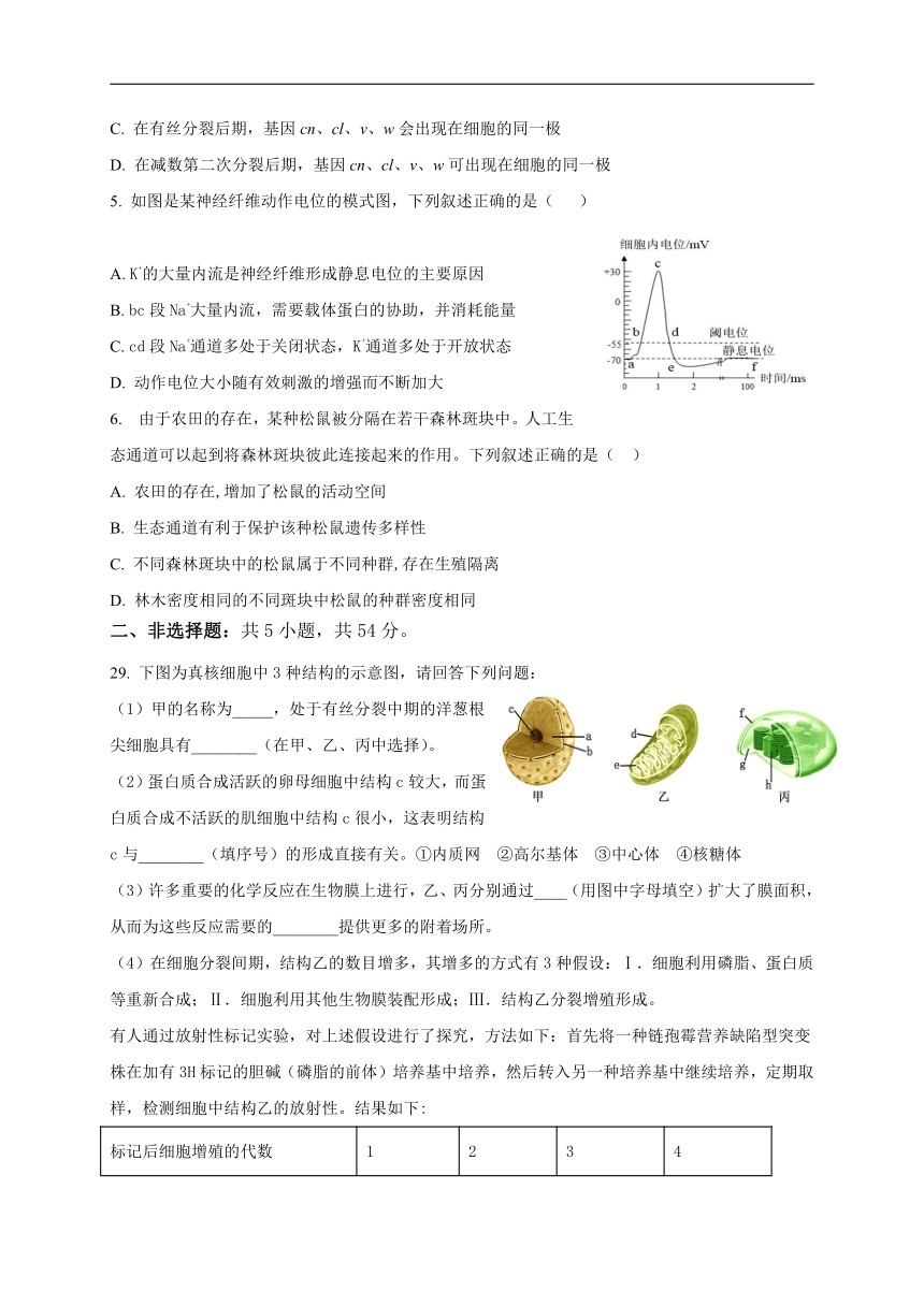 2023届四川省自贡市高三下学期4月生物学模拟试题（九）（Word版含答案）