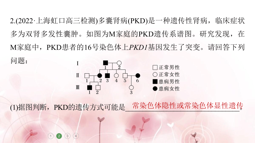 高三生物重难大题集训(2)　变异与遗传的综合考查(课件共33张PPT)