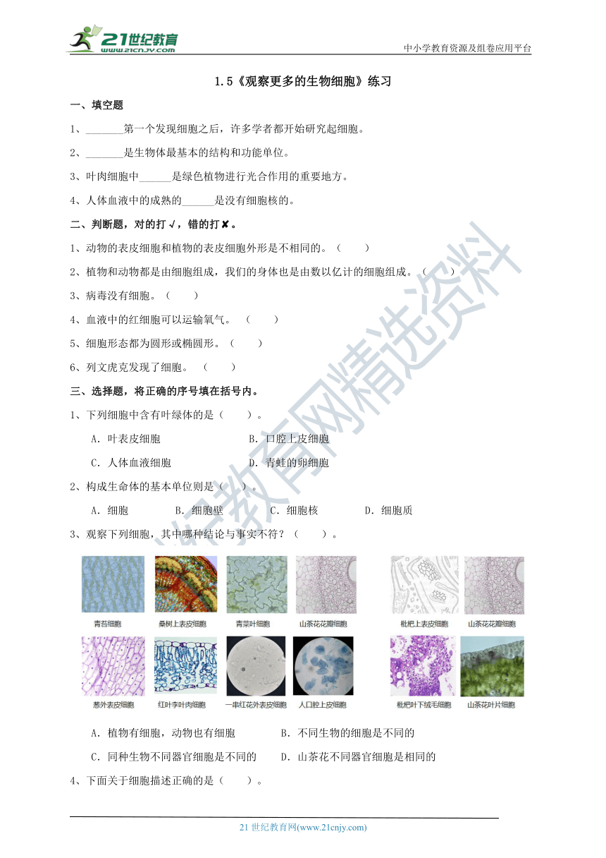 1.5《观察更多的生物细胞》练习（含答案）