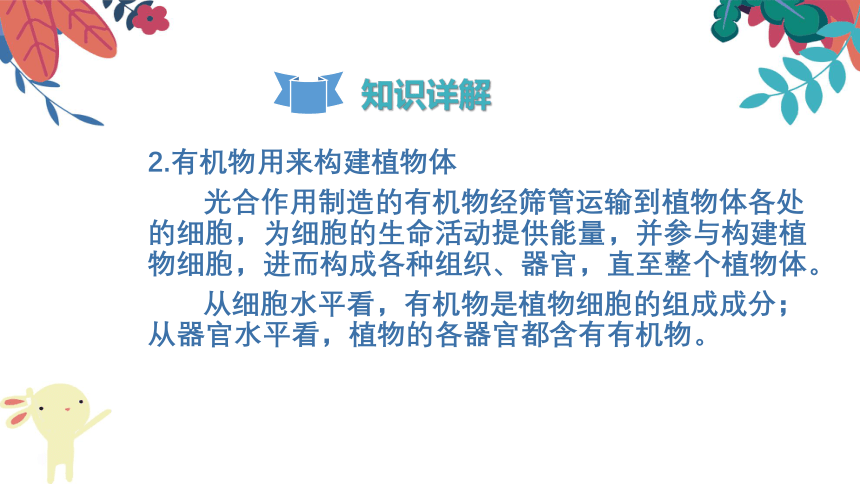 2021-2022学年初中生物人教版七年级上册 3.4绿色植物是生物圈中有机物的制造者  复习课件(共24张PPT)