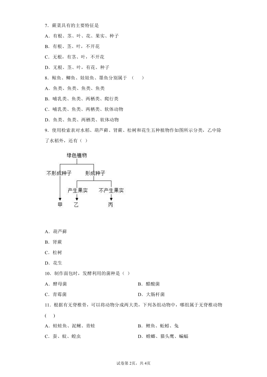 第2章 生物的主要类群 巩固练习（有答案）