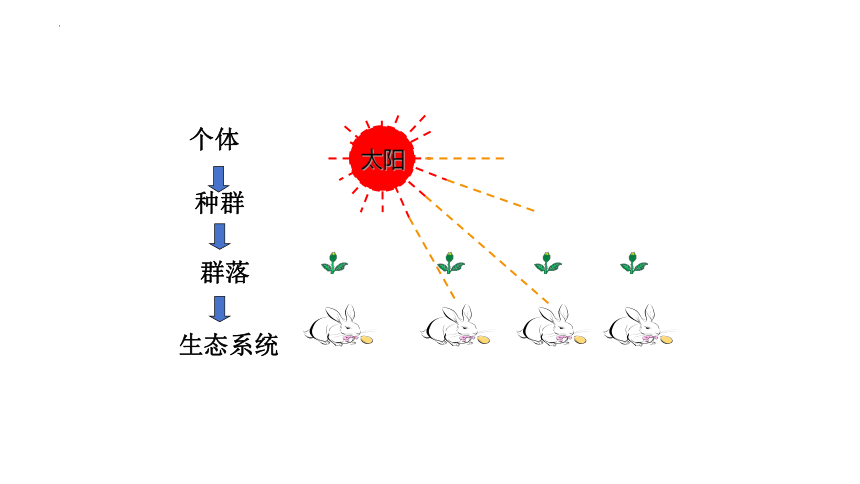 8.23.2.生态系统概述课件 (共16张PPT)北师大版生物八年级下册