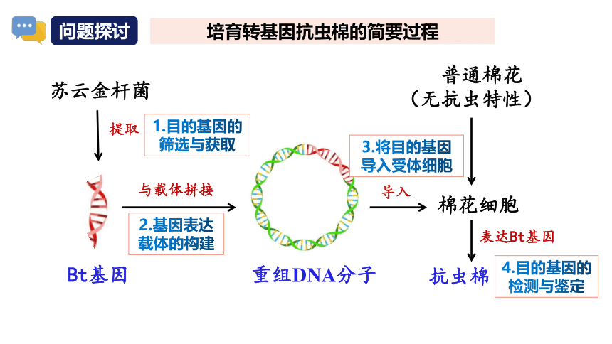 3.2.1基因工程的基本操作程序(课件共22张PPT)