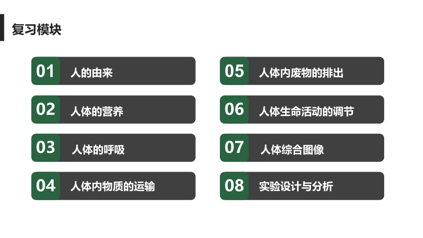 人教版七年级下册生物期末复习课件（共83张ppt）