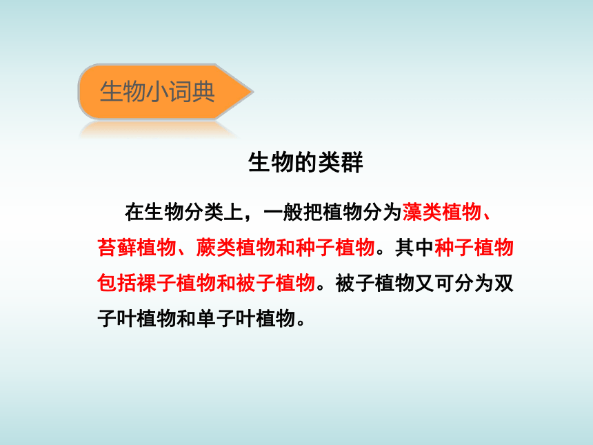 苏科版七年级下册生物 14.2生物检索表 课件（25张PPT）