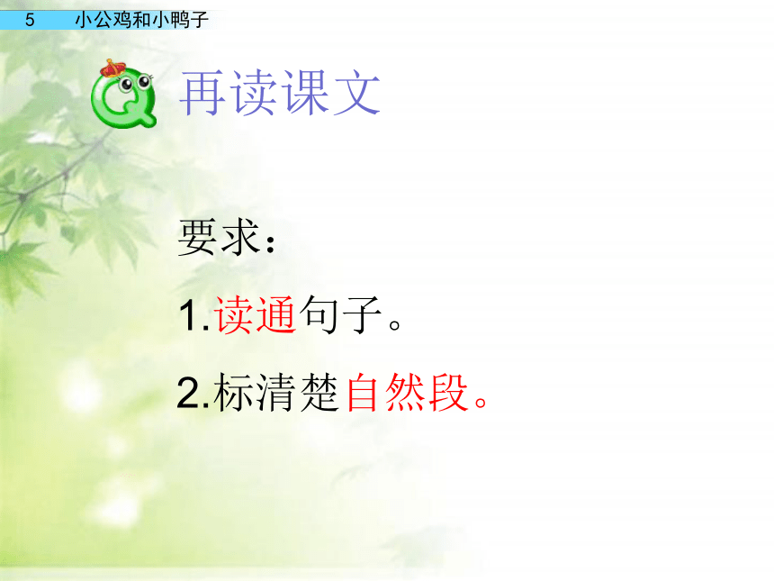 4 小公鸡和小鸭子 课件(共41张PPT)