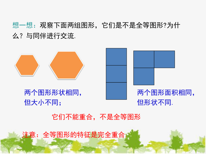 华东师大版数学七年级下册 10.5 图形的全等 课件(共15张PPT)