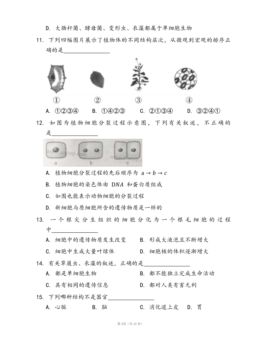 人教版七年级生物上册第二单元第二章 细胞怎样构成生物体随堂练习（word版含答案）