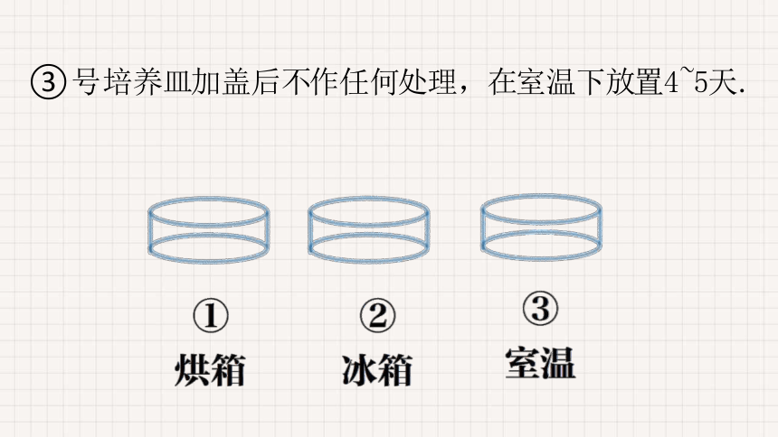 1.1.2 生物与环境的相互影响 课件(共29张PPT)北师大版生物七年级上册