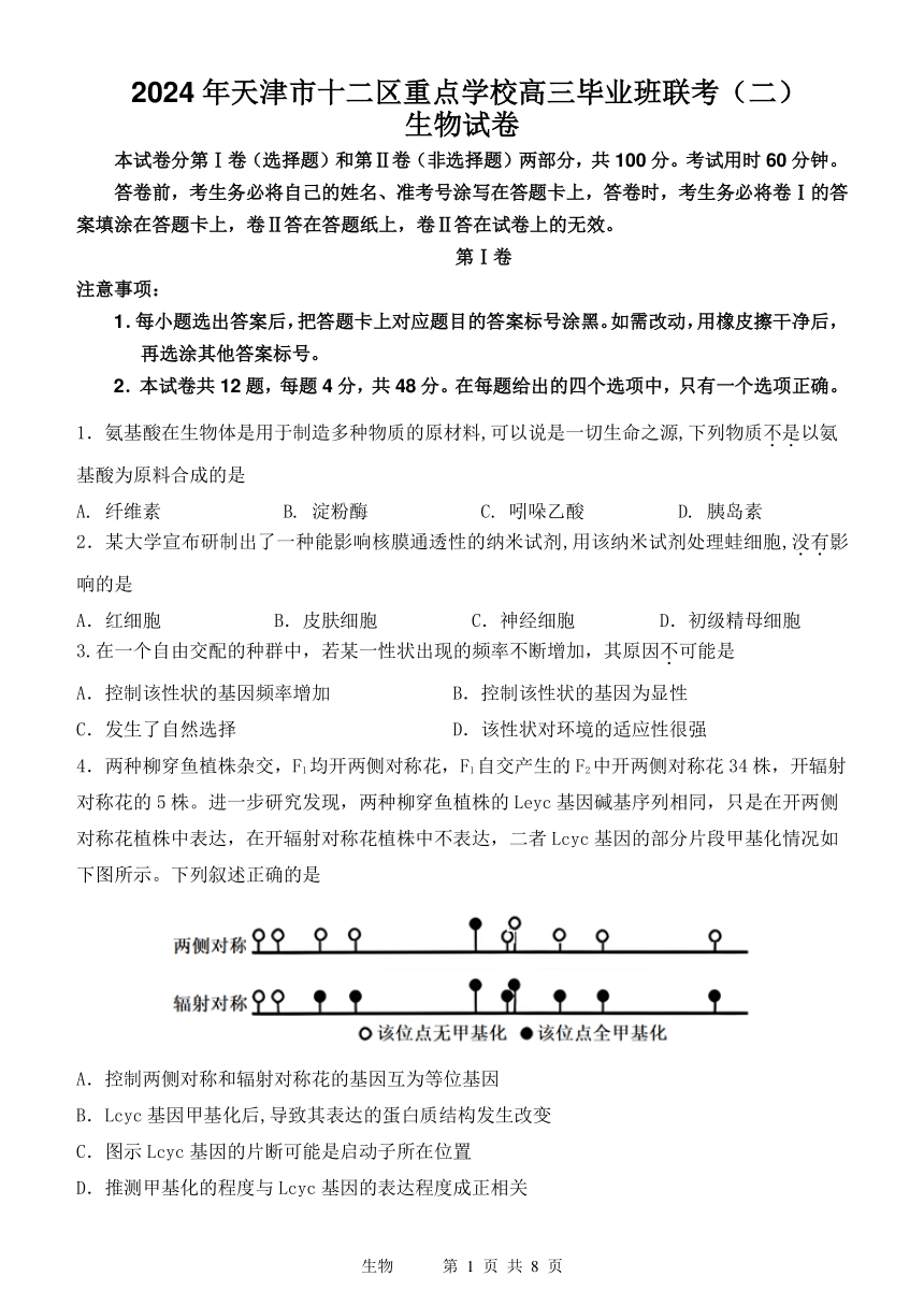 2024届天津市十二区重点学校高三毕业班联考（二）（二模）生物学试题（pdf版含答案）