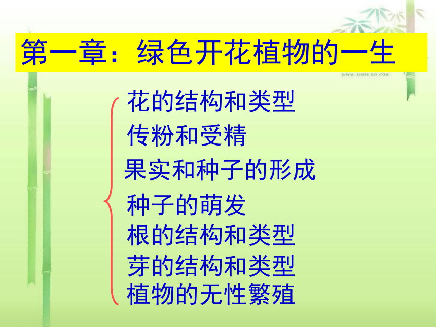 初中生物济南版八年级上册本册综合生物八年级上册总复习(济南版).ppt（160张PPT）