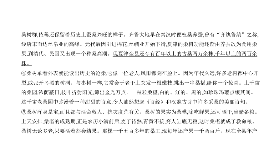 2021年语文中考复习全国通用 专题十一　说明文阅读课件（共203张ppt）