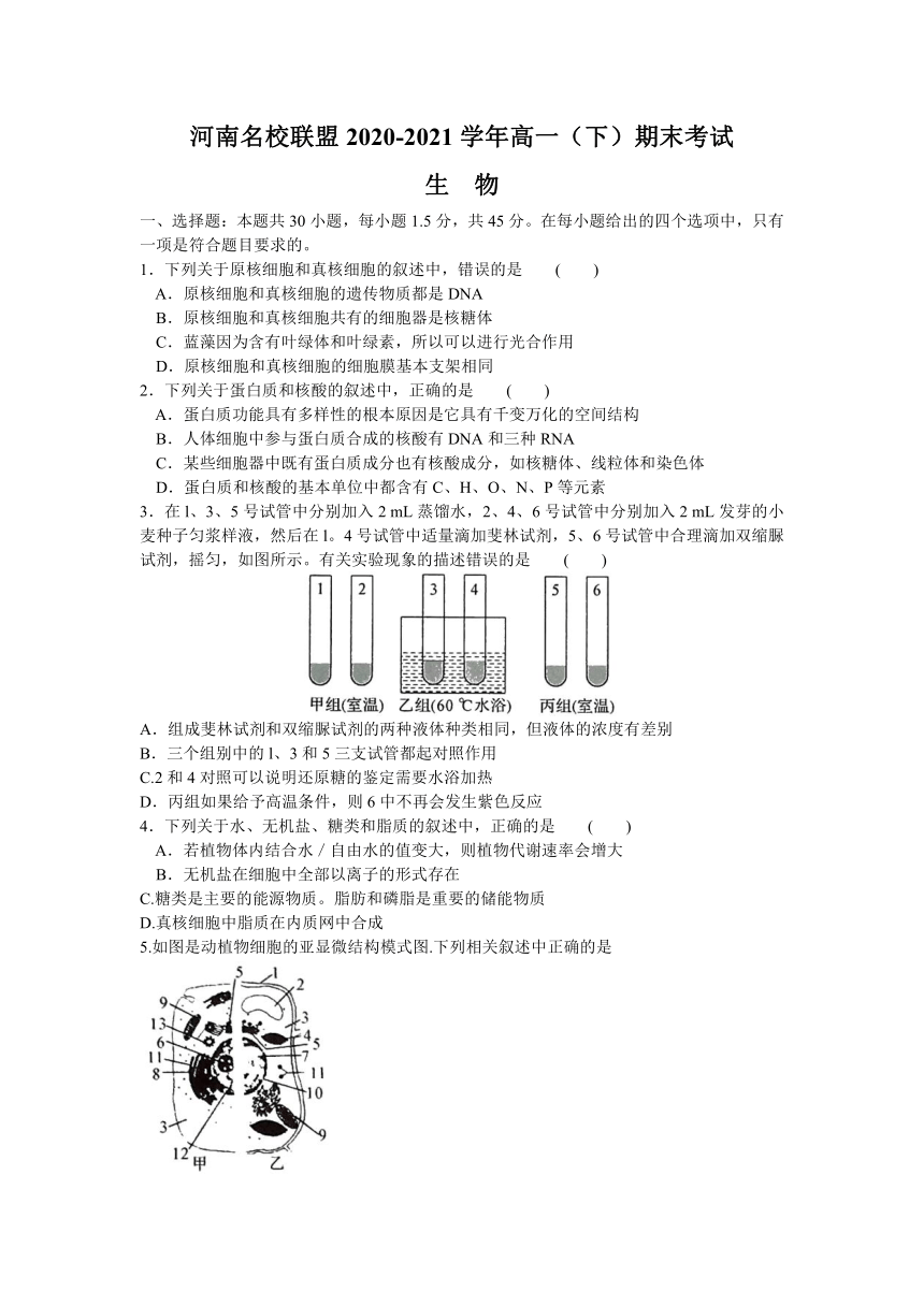 河南省名校联盟2020-2021学年高一下学期期末考试生物试题 Word版含答案