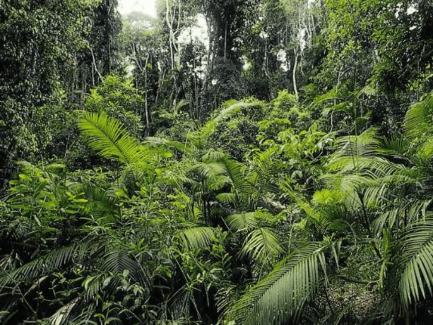 1.2.3 生物圈是最大的生态系统  课件(共22张PPT)2022-2023学年人教版生物七年级上册