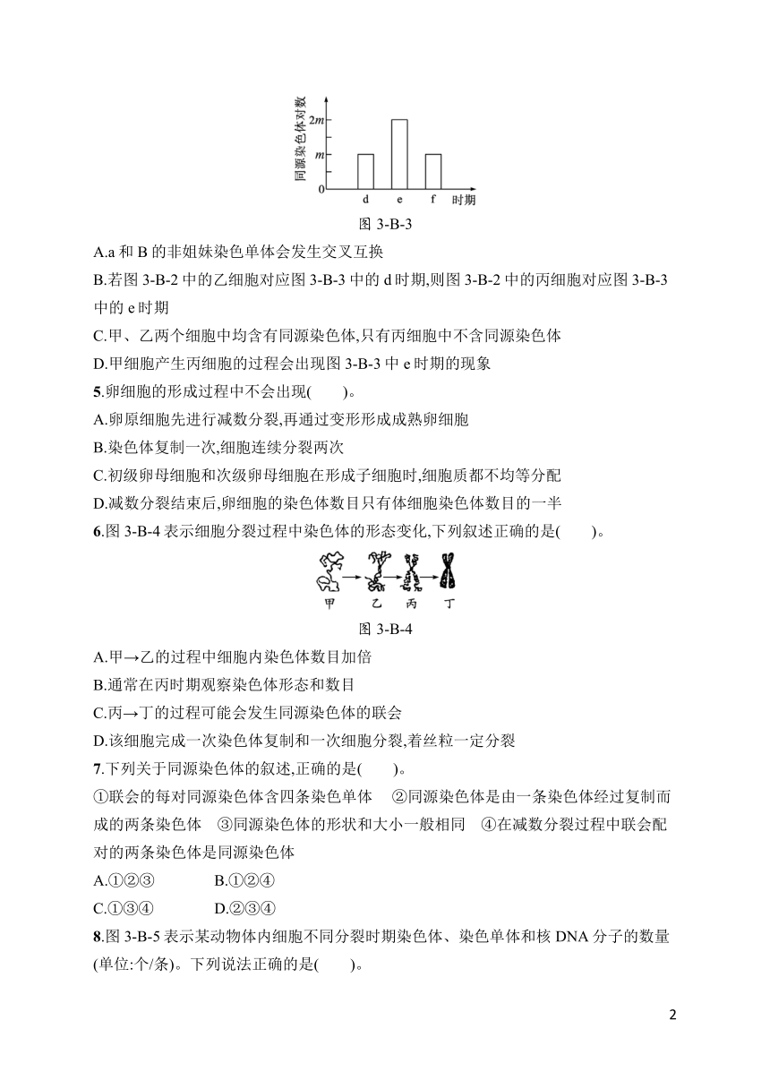 高中生物北师大版必修二第3章 章节测评（含答案）