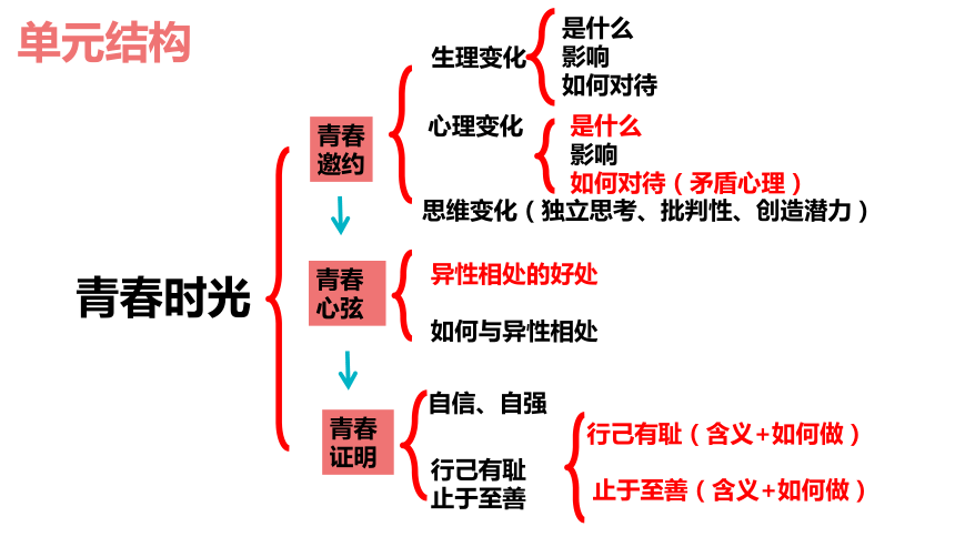 第一单元 青春时光 复习课件（49张幻灯片）