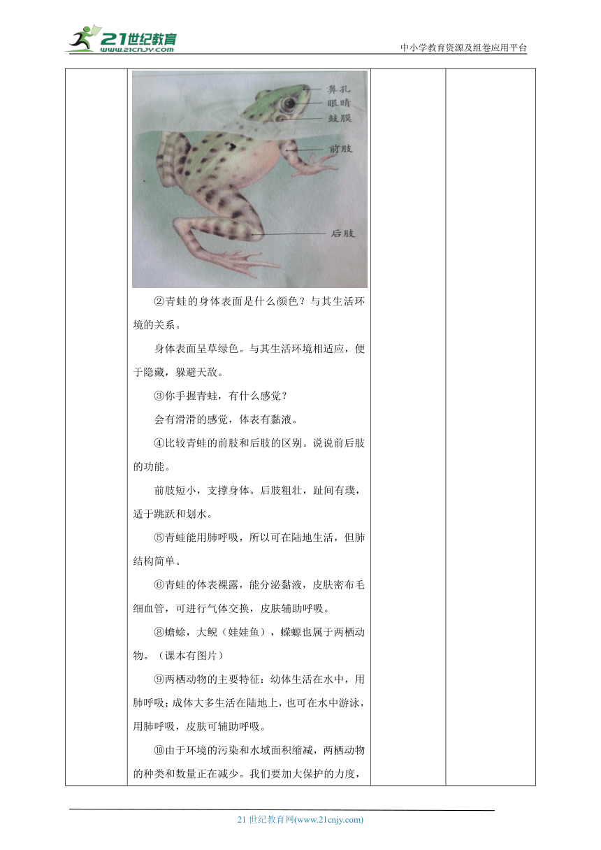 【核心素养目标】5.1.5 两栖动物和爬行动物 教学设计