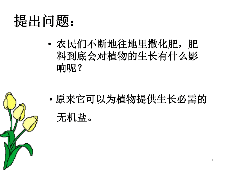 第一节 绿色植物的生活需要水和无机盐——无机盐与植物的生活 课件（27张PPT）