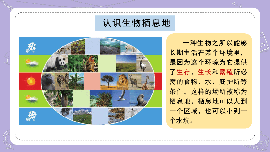 苏教版（2017秋）科学六年级下册 2.5多样的栖息地（课件）(共10张PPT)