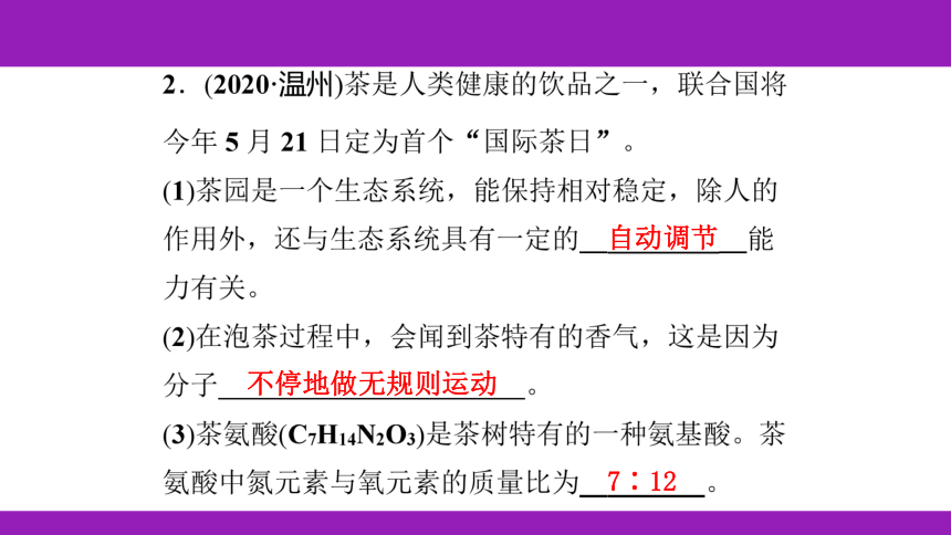 2023浙江中考一轮复习 第28课时 化学式、物质的分类（课件 52张ppt）