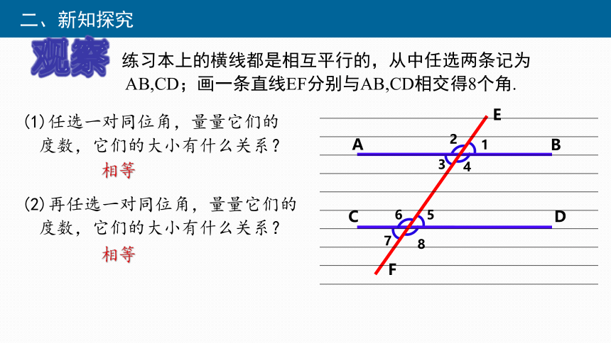 2022-2023学年沪科版七年级下学期数学10.3平行线的性质 课件(共20张PPT)