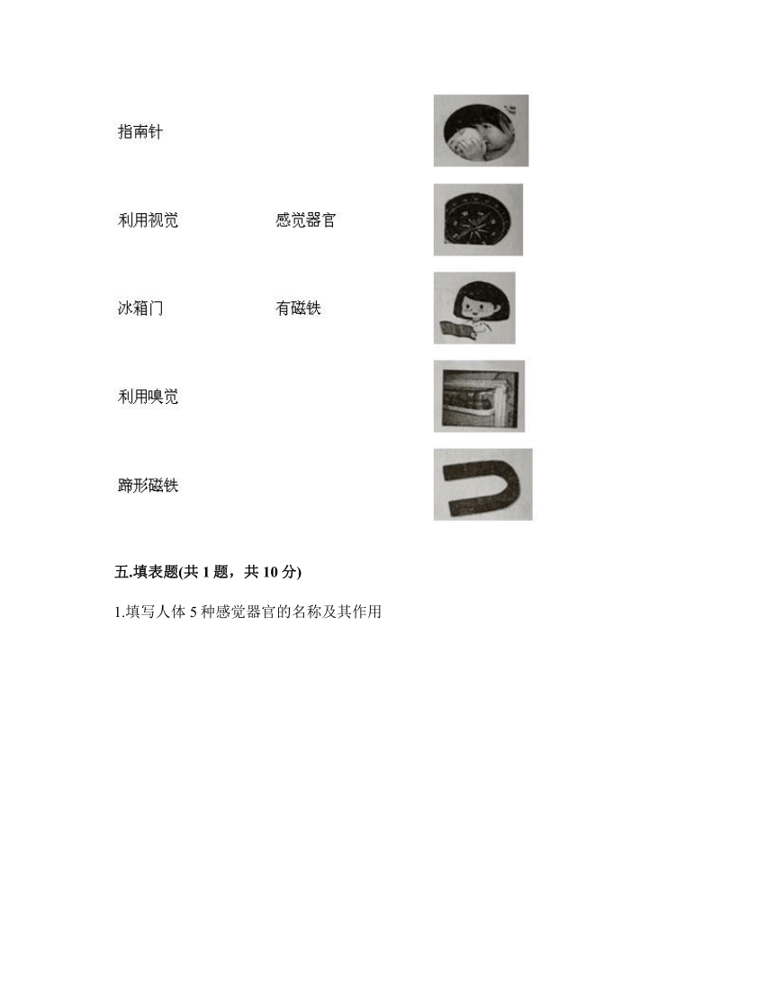 教科版（2017秋）二年级下册科学试题-第二单元 我们自己 测试题（含答案）