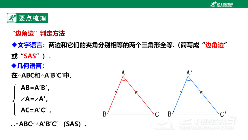 第一章 三角形的初步认识 章末复习（二） 课件（共36张PPT）