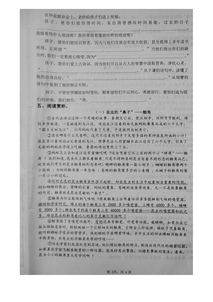 江苏省扬州市经济技术开发区2021-2022学年六年级下学期期末语文试卷（图片版  无答案 ）