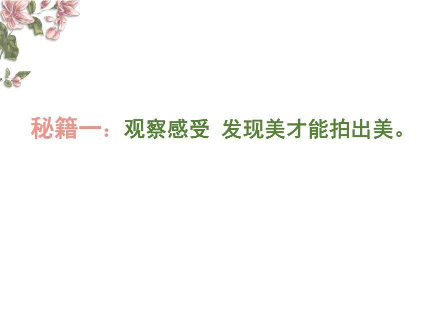 人美版（北京） 五年级下册美术课件 第5课  摄影-美丽之花（27张PPT）