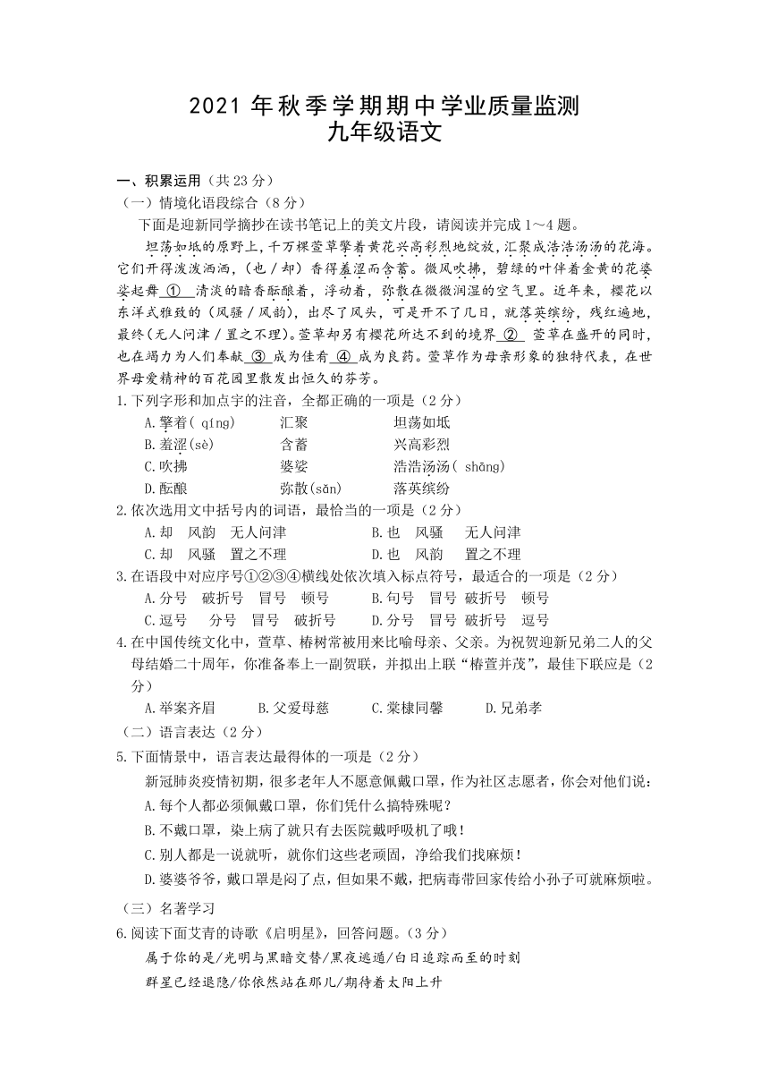 广西防城港市上思县2021-2022学年九年级上学期期中学业质量监测语文试题（word版含答案）