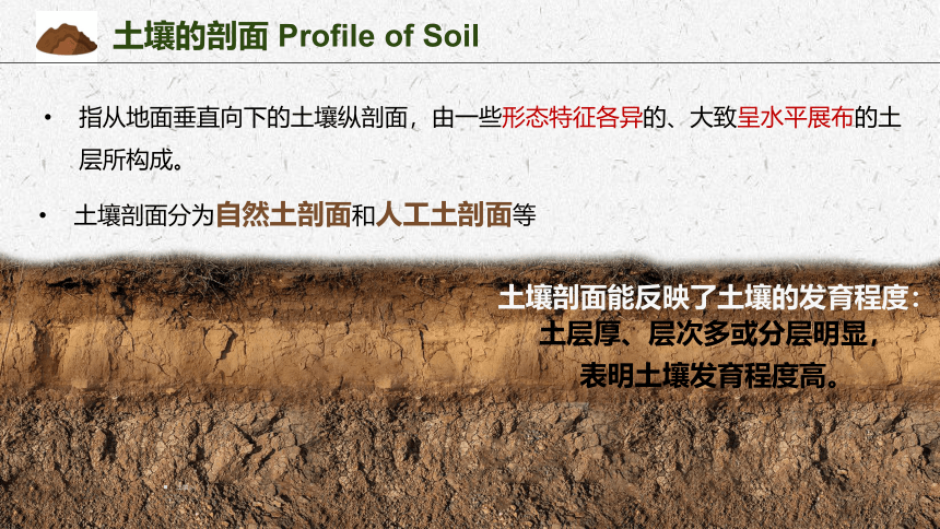 3.4分析土壤形成的原因课件（36张）