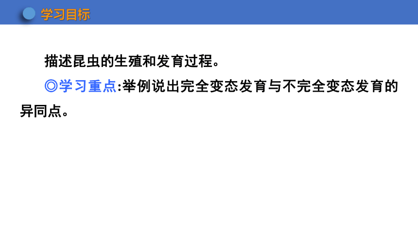 6.1.2 动物的生殖和发育 第1课时课件(共24张PPT)2023-2024学年初中生物冀少版八年级下册