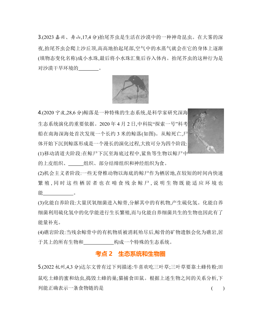 2024年浙江省中考科学二轮复习生物部分：专题二 生物与环境练习（含答案）