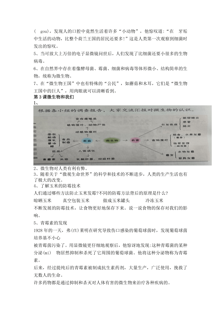 湘科版（2017秋）科学五年级下学期第二单元 微生物 知识点梳理