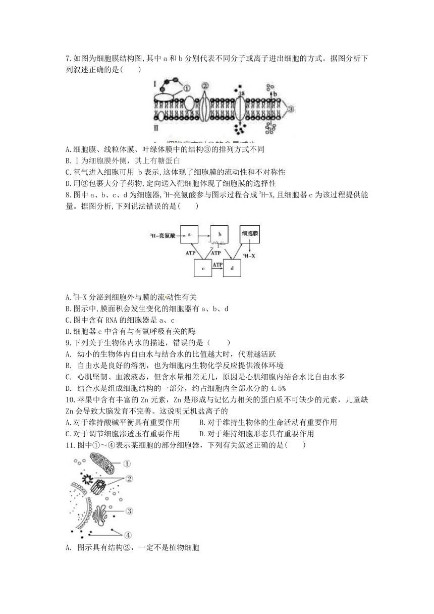 1.4综合训练一：高中生物必修一第1到4章试题（含解析）