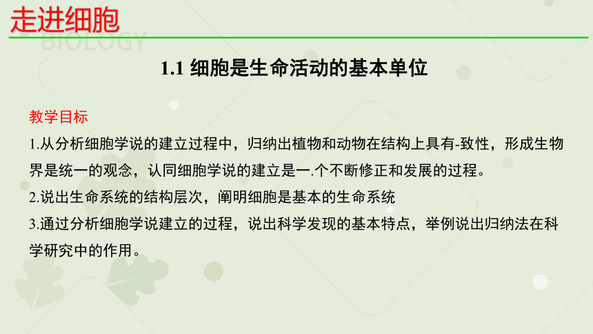 1.1细胞是生命活动的基本单位_新人教2019版必修1(共23张PPT)