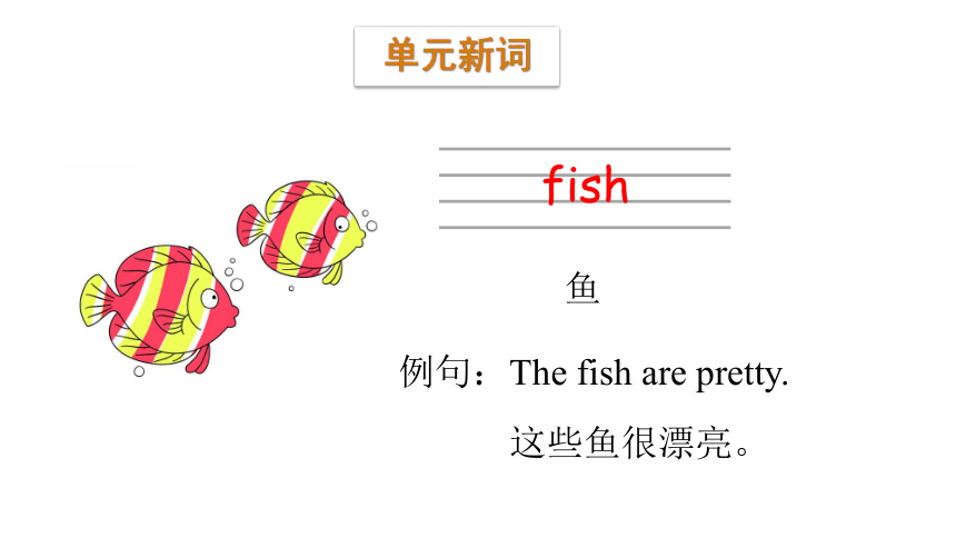 Module 6 Pets Unit 11  They're lovely Period 1 课件(共24张PPT)