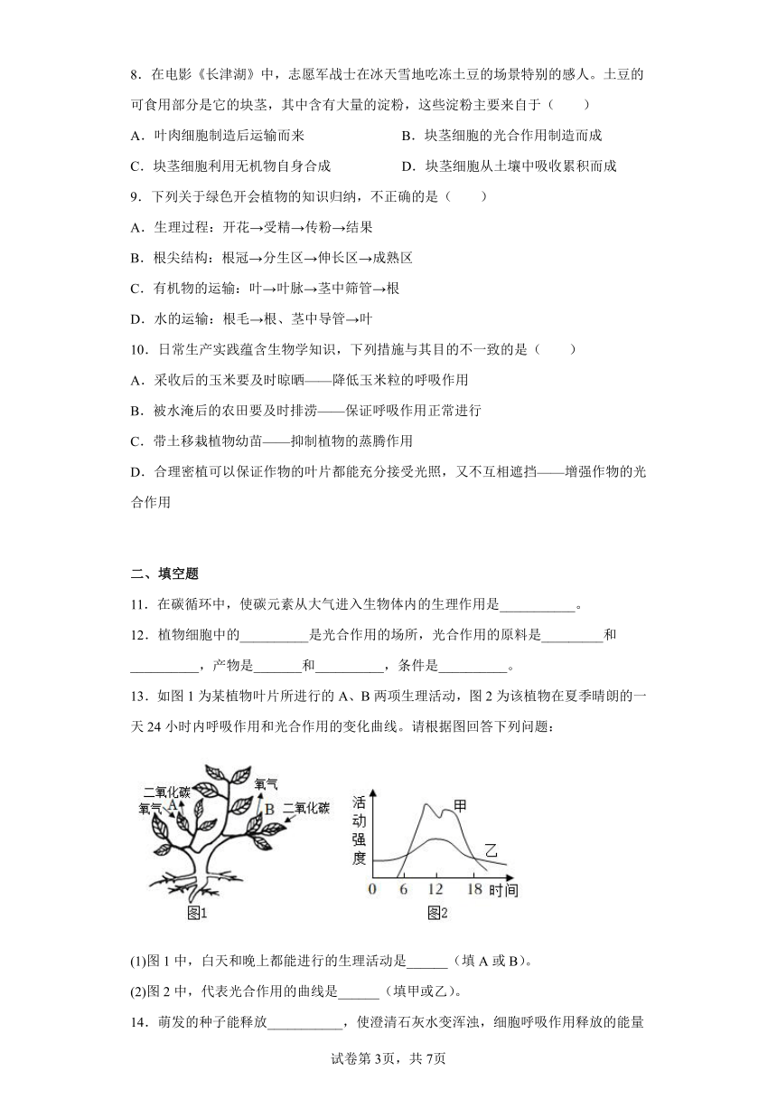 第三单元第五章绿色植物与生物圈中的碳-氧平衡训练题（含解析）人教版七年级上册生物