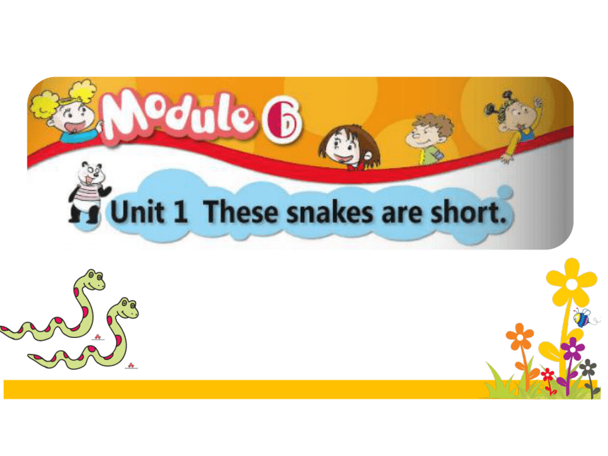 Module 6 Unit 1 These snakes are short 课件(共39张PPT)
